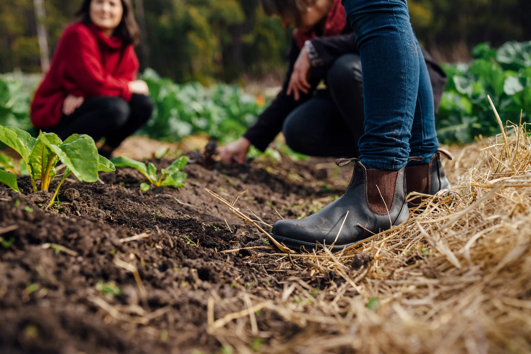 Blundstone 600 Work Boot