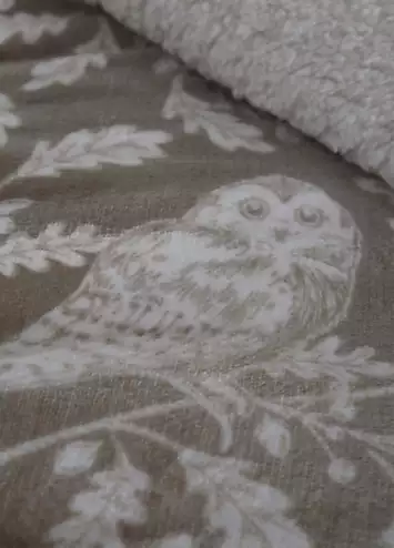 Dreams & Drapes Sage Woodland Owls Fleece Duvet Cover Set | Kaleidoscope