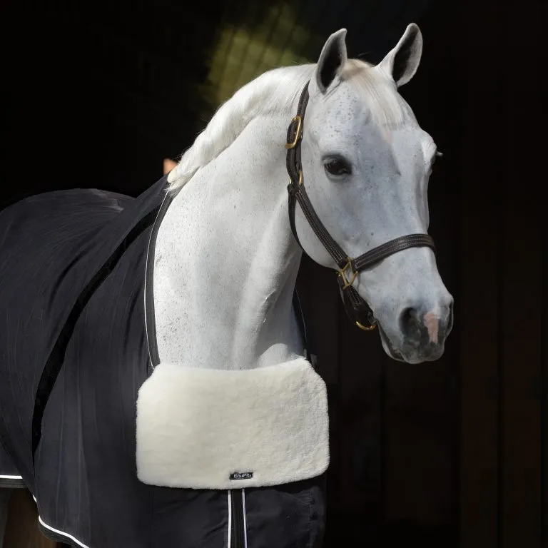 Equifit Blanket Bib