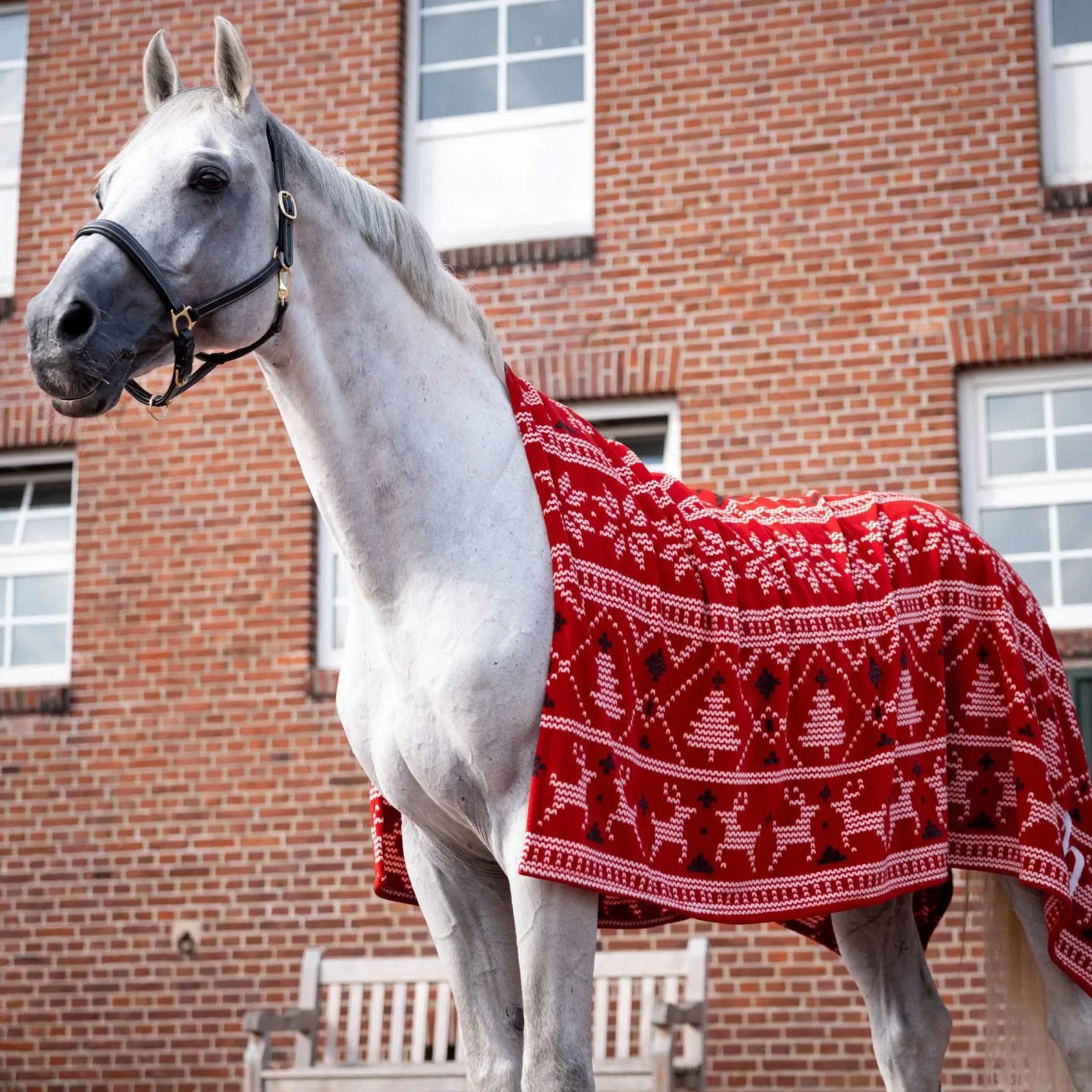 Horze Santa Christmas Throw Blanket