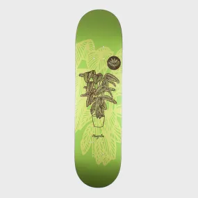 Magenta Skateboards - 8.125 Power Plant Skateboard Deck