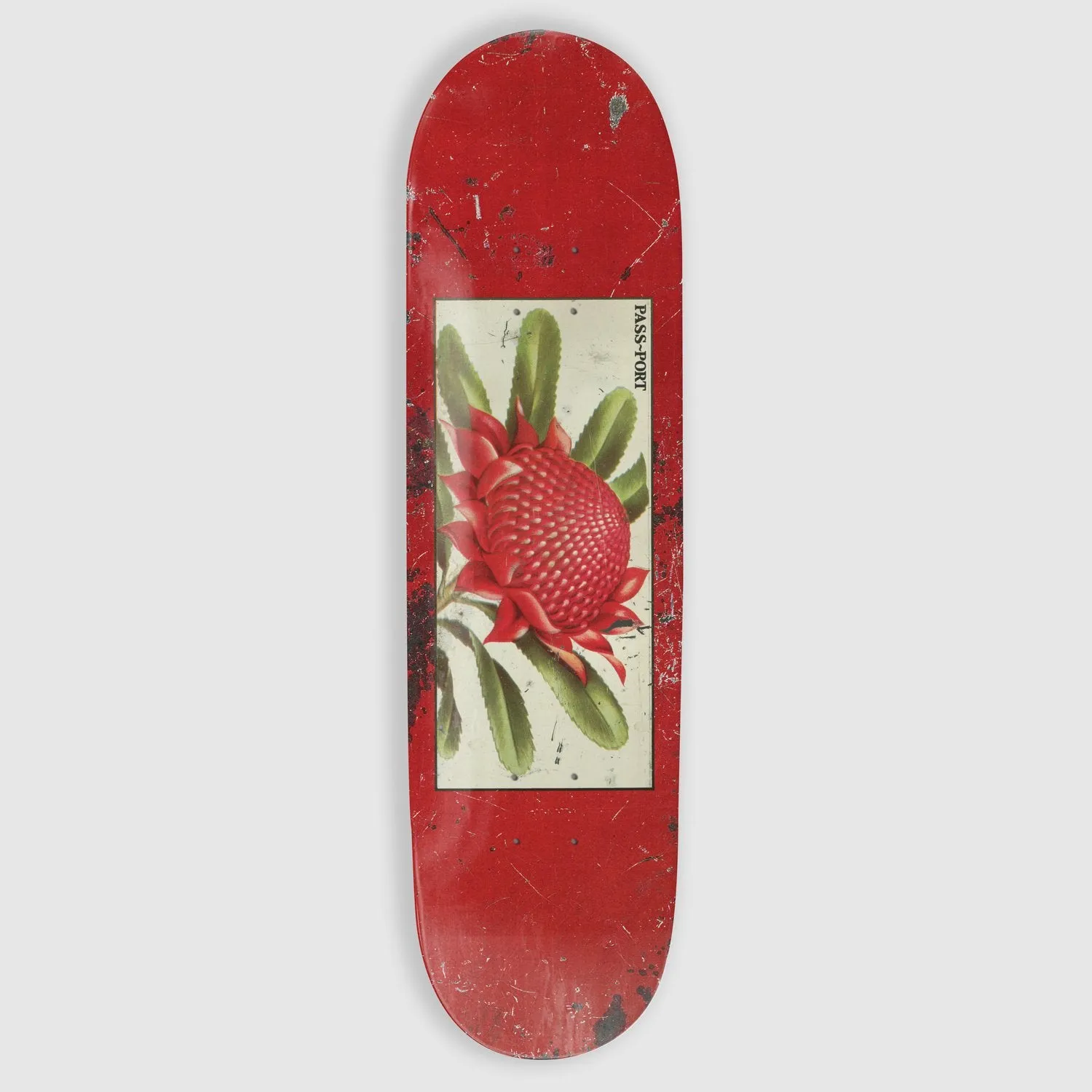 Pass Port Skateboards - 8.0 Waratah Tin Floral Series Deck (Red)