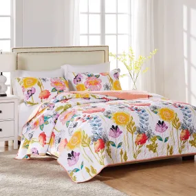 Watercolor Dream Quilt Set 